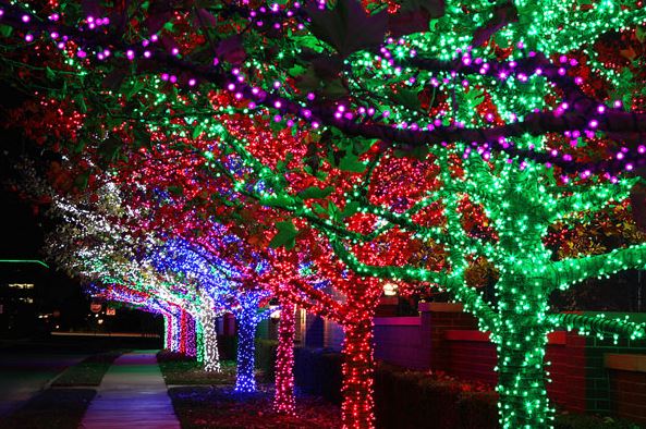 Solar Powered Tree Lights